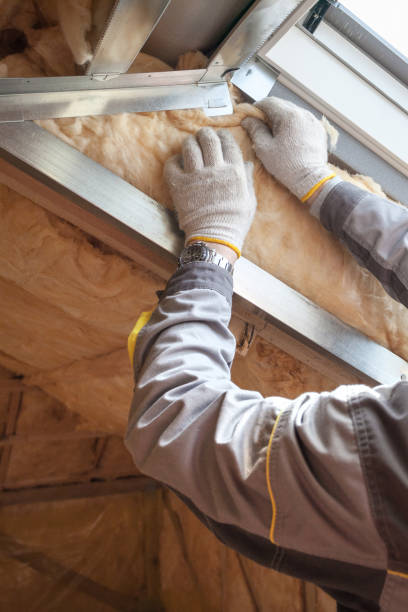 Best Insulation Contractors for Homes  in USA